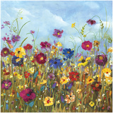 Sunshine Meadow II