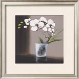Swirls of White Orchids II