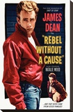Rebel Without a Cause