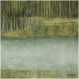 lake of the Woods II