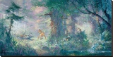 Springtime In The Meadows
