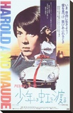 Harold and Maude