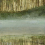 Lake of the Woods I