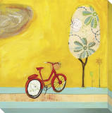 Summer Bike