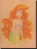Ariel