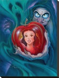 The Fairest In The Land