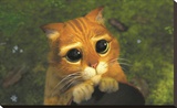 Shrek: Kitty Eyes