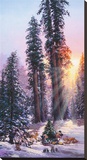 The Perfect Tree