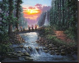 Forest Bridge