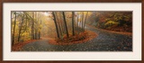 Winding Road Through Mountainside in Autumn  Monadnock Mountain  New Hampshire  USA