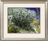 Van Gogh: Lilacs  19Th C