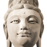 Buddha's Head