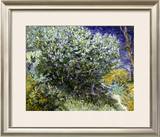 Van Gogh: Lilacs  19Th C