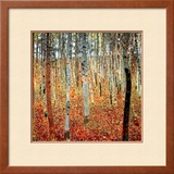 Forest of Beech Trees  c1903