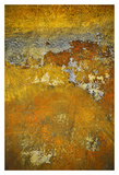 Rusty Look III