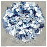 Elegant Hydrangea I