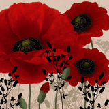 Red Poppies II