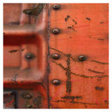 Rusty Door II