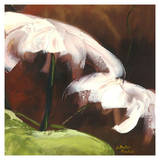Umbrella Flowers II