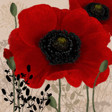 Red Poppies I