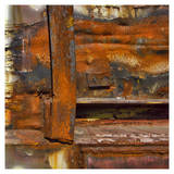 Rusty Door I
