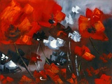 Red Poppies II