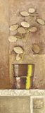 Gardeners Corner III