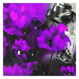 Purple Flowers I