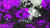 Purple Flowers