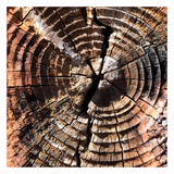 Age of Time I