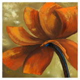 Orange Flower I