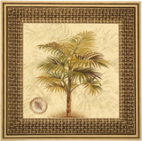 Pais Tropical  VI