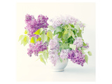 Lilac Bouquet