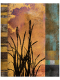 Sawgrass II