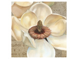 Magnolia Masterpiece I