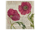 Poppy Pages Square I