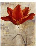 Red Masterpiece I