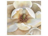 Magnolia Masterpiece II