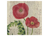 Poppy Pages Square II