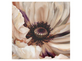 Poppy Dreams I