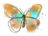 Butterfly II
