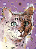 Poppet Cat I
