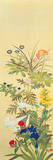 Flowers and Grasses II