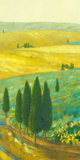 Tuscan Landscape I