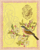 Apple Blossom II