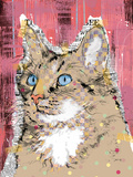 Poppet Cat IV
