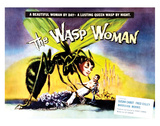 The Wasp Woman - 1959