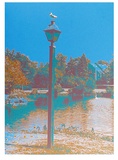 Seagull on a Lantern