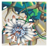 Morning Flower