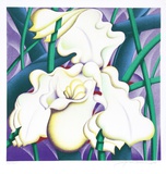 Orchid I